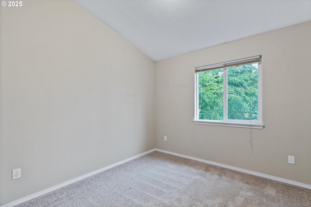 carpeted spare room with lofted ceiling and a textured ceiling