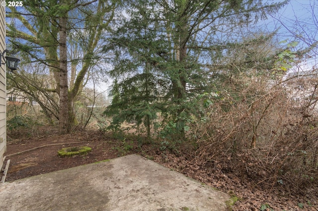 view of yard featuring a patio area