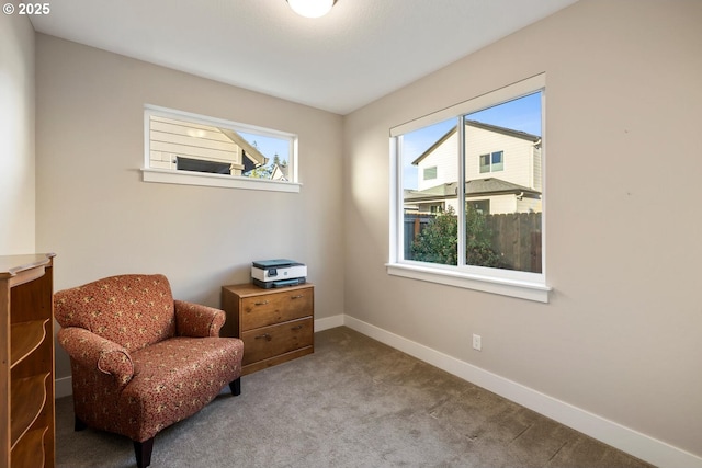 living area with carpet and baseboards