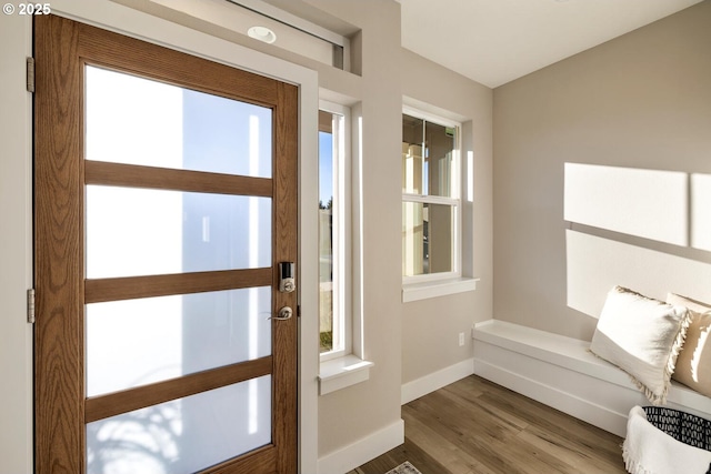 foyer with baseboards and wood finished floors