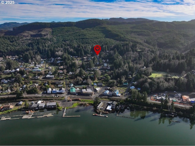 aerial view featuring a water and mountain view