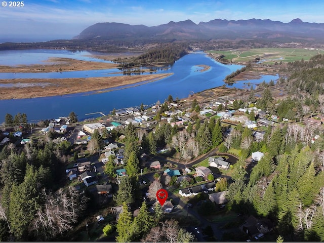 birds eye view of property with a water and mountain view