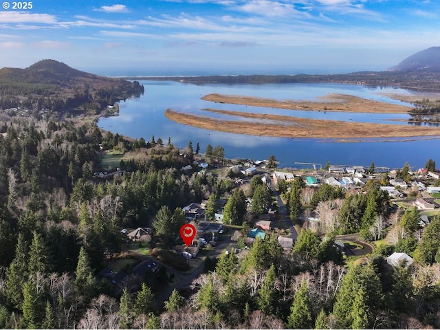 bird's eye view featuring a water and mountain view