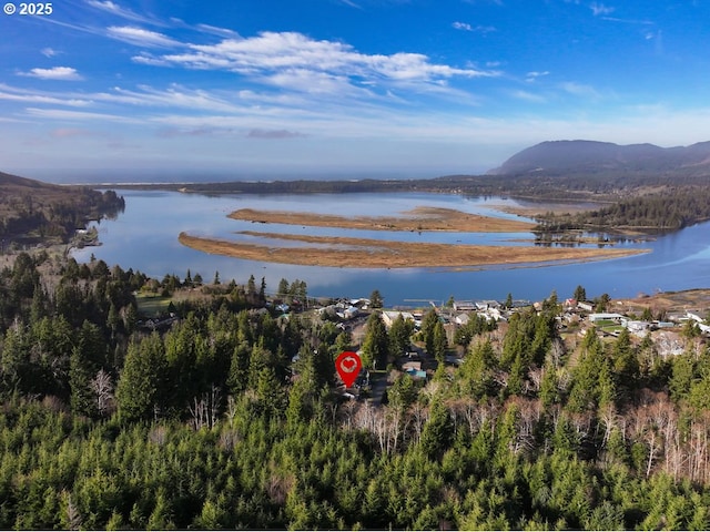 bird's eye view featuring a water and mountain view