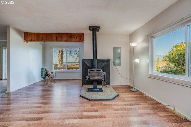 living room with electric panel, a healthy amount of sunlight, light hardwood / wood-style flooring, and a wood stove