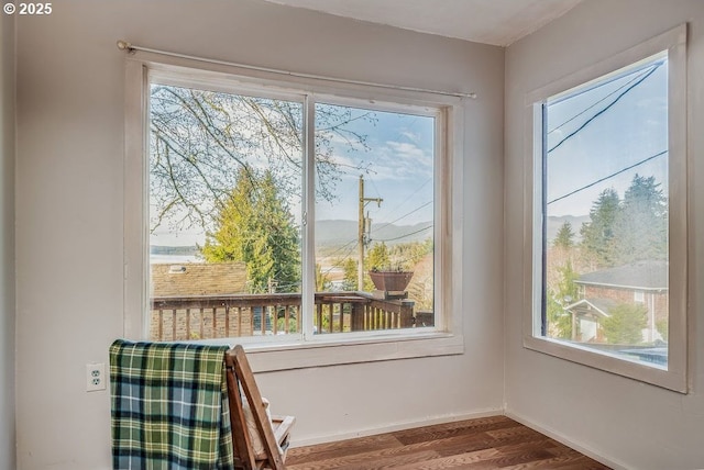 doorway with hardwood / wood-style floors and a wealth of natural light