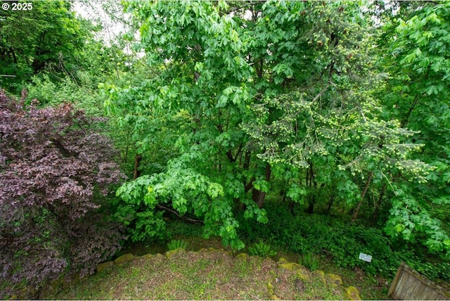 4538 Y St, Washougal, WA 98671 - view of woods