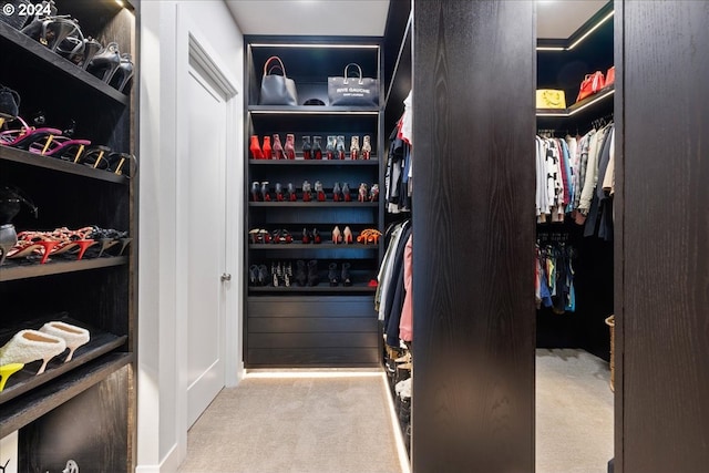 walk in closet with carpet floors