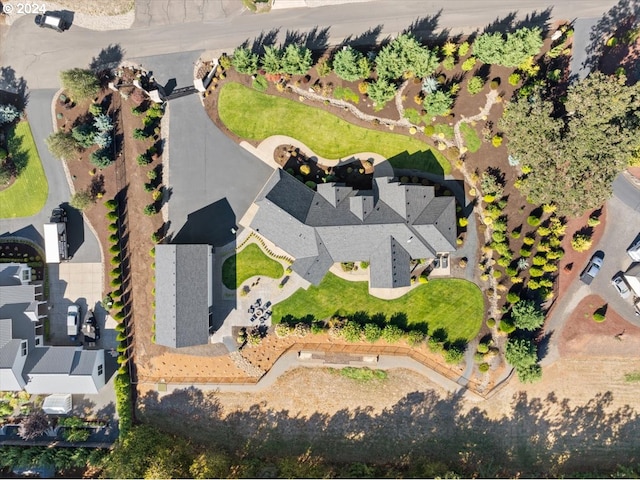 bird's eye view