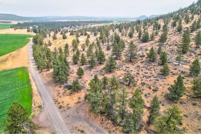 aerial view featuring a rural view and a mountain view