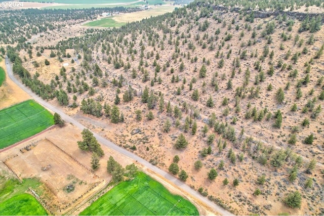 birds eye view of property featuring a rural view