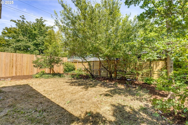 229 N Shaver St, Portland, OR 97227 - view of fenced backyard