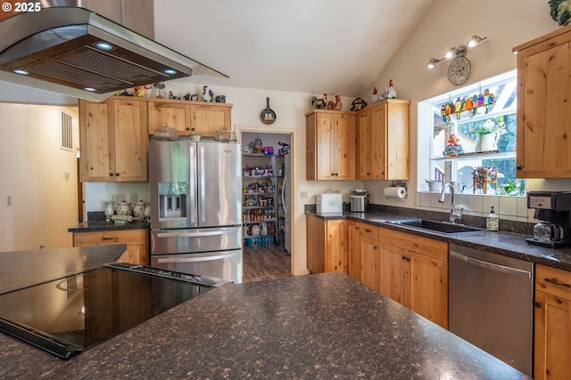 1260 Ireland Rd, Winston, OR 97496 - kitchen with visible vents, appliances with stainless steel finishes, lofted ceiling, a sink, and extractor fan