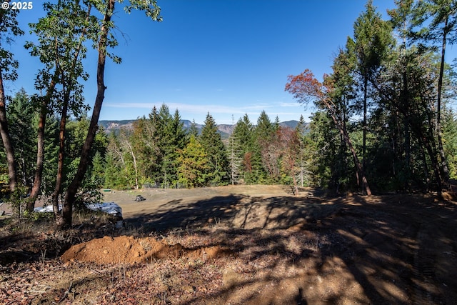 1260 Ireland Rd, Winston, OR 97496 - view of local wilderness with a wooded view
