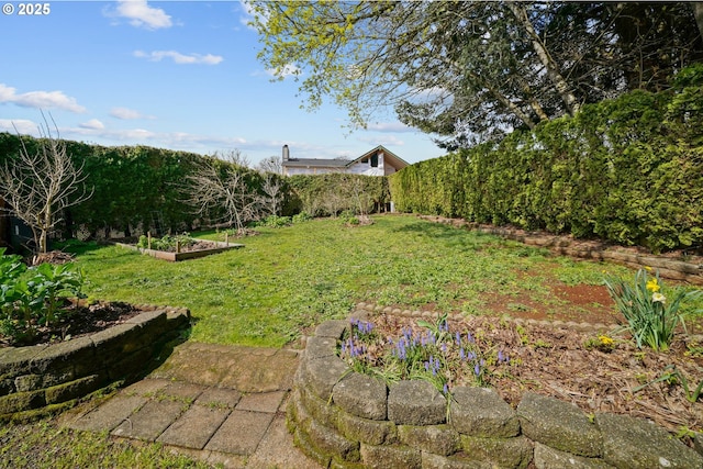 3457 Champlain Ct, Salem, OR 97304 - view of yard