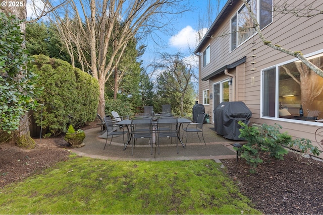 view of yard featuring a patio area