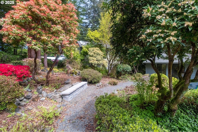 5 Woodthrush Ln, Gleneden Beach, OR 97388 - view of yard