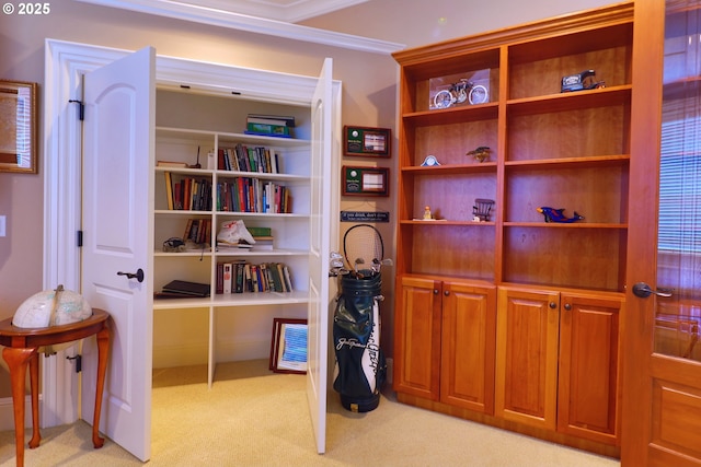 interior space featuring light colored carpet