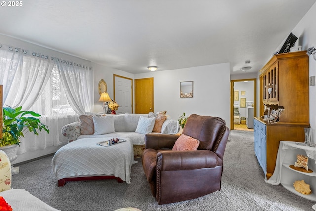 living area featuring carpet floors