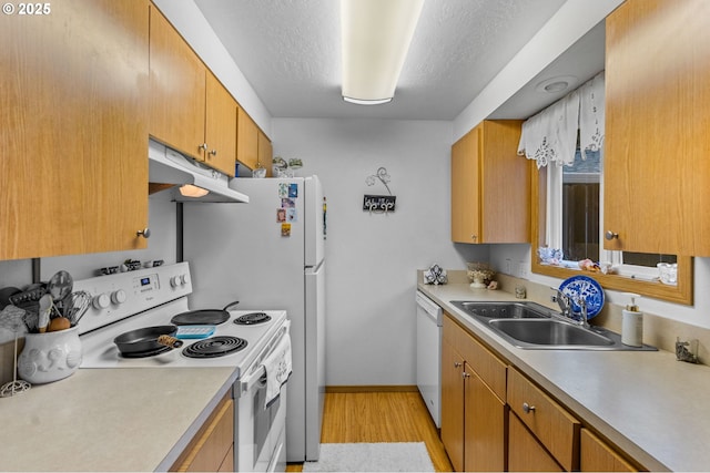 kitchen with light countertops, light wood-style floors, a sink, white appliances, and under cabinet range hood