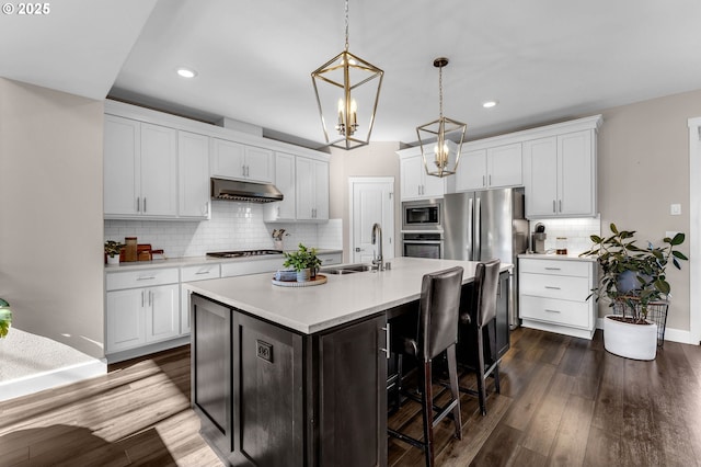 2625 NE 8th Ave, Battle Ground, WA 98604 - kitchen with stainless steel appliances, under cabinet range hood, a sink, light countertops, and tasteful backsplash
