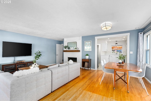 living room featuring hardwood / wood-style flooring and a fireplace