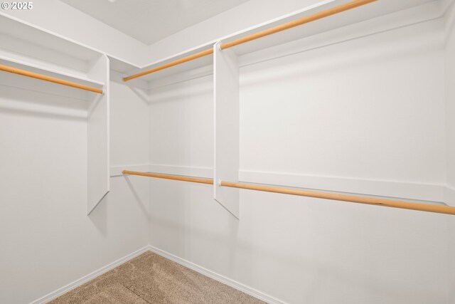 walk in closet with carpet flooring