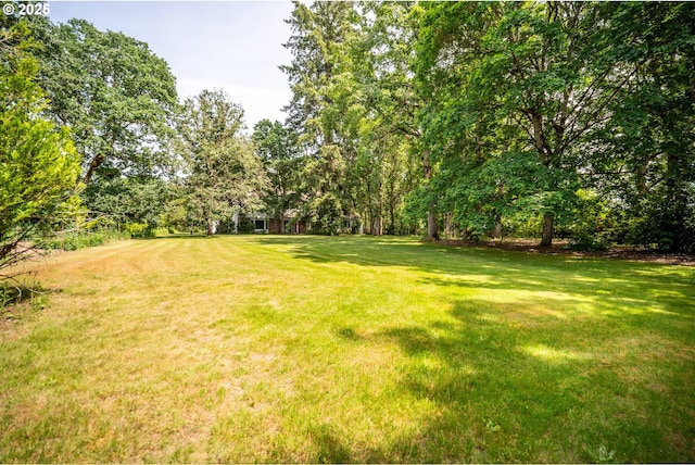 5807 NE 152nd Ave, Vancouver, WA 98682 - view of green lawn