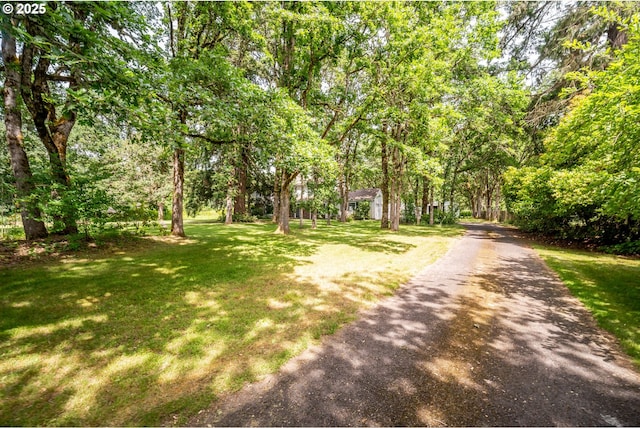5807 NE 152nd Ave, Vancouver, WA 98682 - view of road