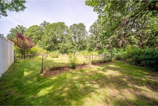 5807 NE 152nd Ave, Vancouver, WA 98682 - view of yard