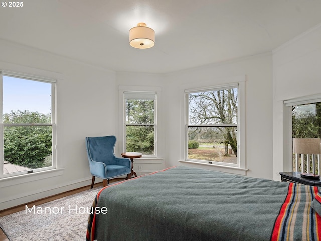 bedroom with multiple windows, baseboards, and wood finished floors