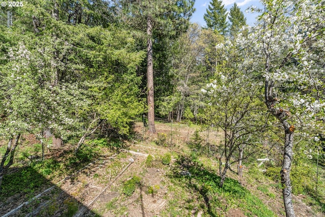 827 Tyler Creek Rd, Ashland, OR 97520 - view of tree filled area