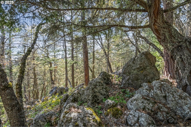 827 Tyler Creek Rd, Ashland, OR 97520 - view of woods