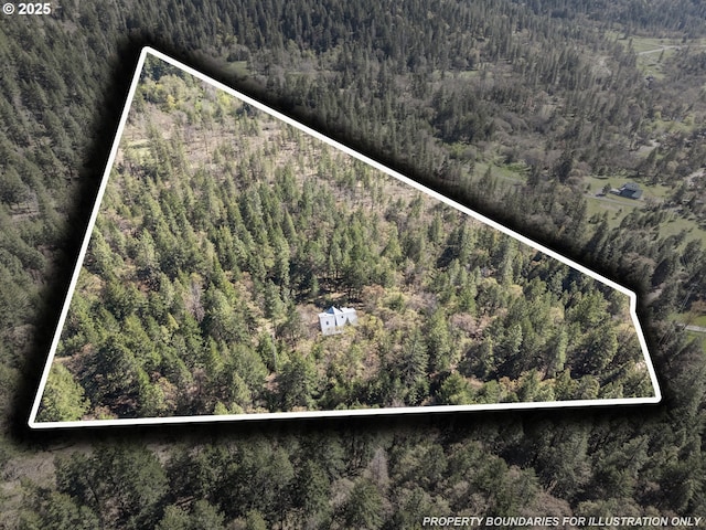 827 Tyler Creek Rd, Ashland, OR 97520 - view of property location with a forest and property boundaries highlighted