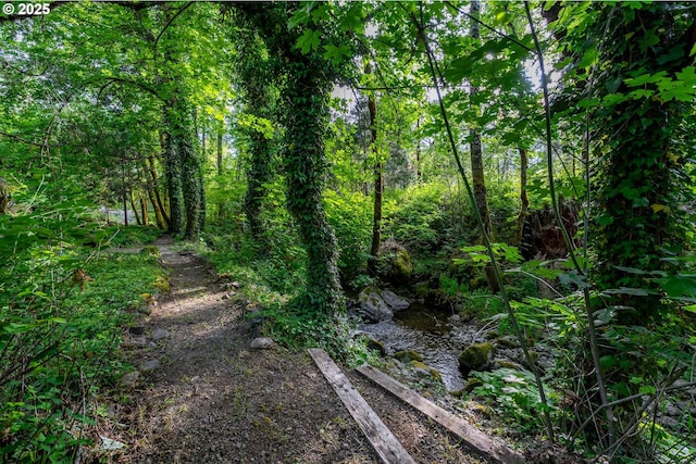 988 Savage Creek Rd, Grants Pass, OR 97527 - view of wooded area
