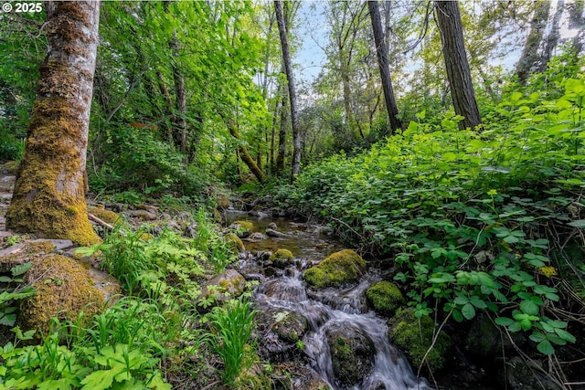 988 Savage Creek Rd, Grants Pass, OR 97527 - view of undeveloped land