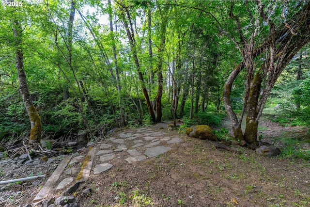 988 Savage Creek Rd, Grants Pass, OR 97527 - view of yard with a wooded view