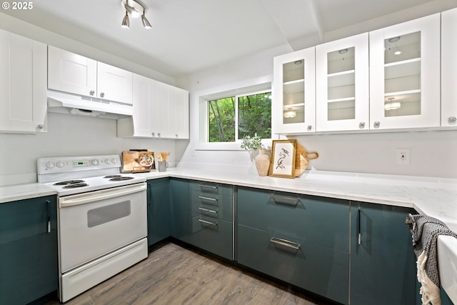 988 Savage Creek Rd, Grants Pass, OR 97527 - kitchen featuring white electric stove, under cabinet range hood, wood finished floors, white cabinets, and glass insert cabinets