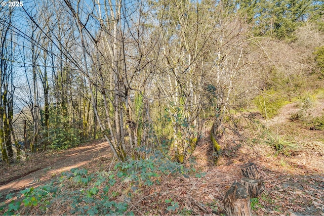 Listing photo - caption unavailable