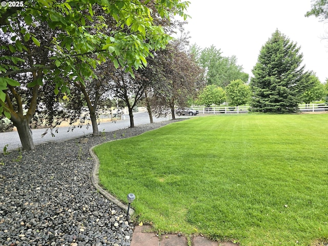 80393 Zimmer Ln, Hermiston, OR 97838 - view of yard
