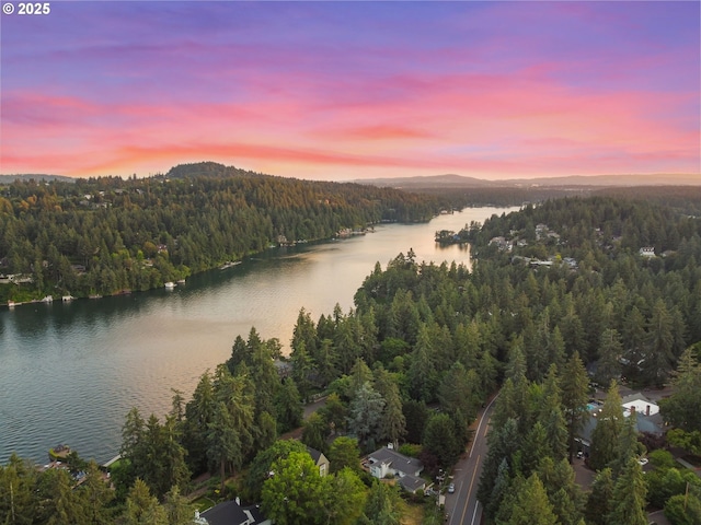 160 Iron Mountain Blvd, Lake Oswego, OR 97034 - water view with a heavily wooded area