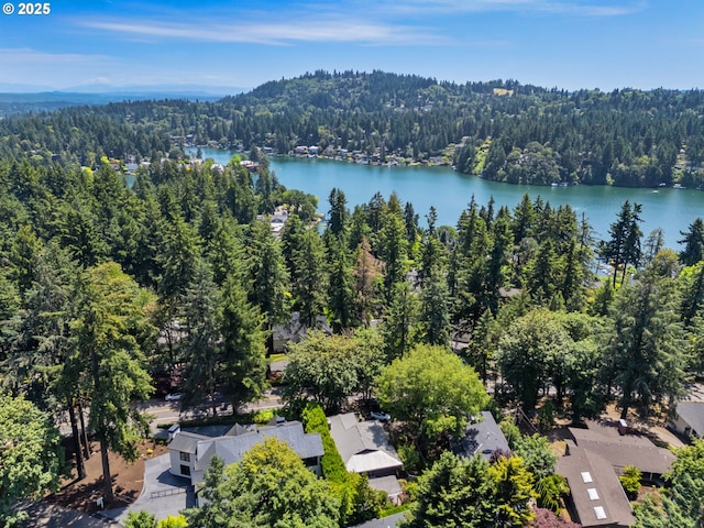 160 Iron Mountain Blvd, Lake Oswego, OR 97034 - bird's eye view of a heavily wooded area and a large body of water