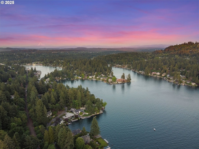 160 Iron Mountain Blvd, Lake Oswego, OR 97034 - aerial view at dusk of a view of trees and a water view