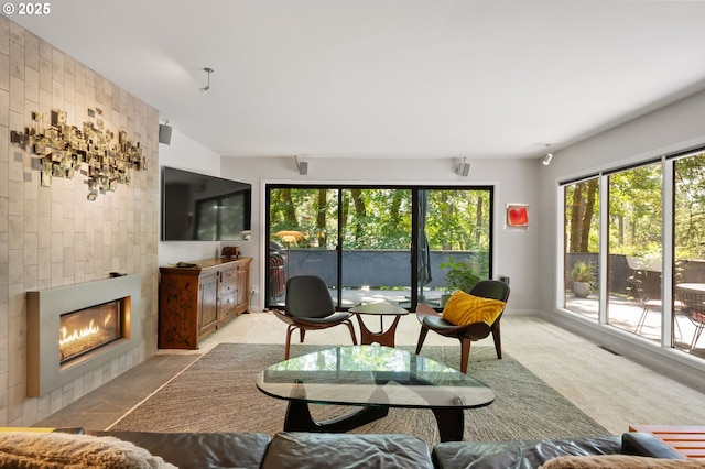 160 Iron Mountain Blvd, Lake Oswego, OR 97034 - living area with a fireplace and carpet