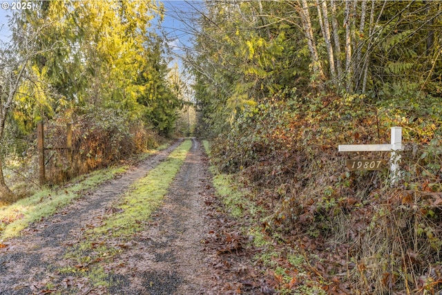 view of road