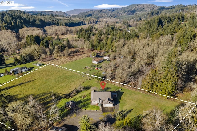 aerial view with a mountain view