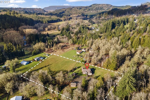 drone / aerial view featuring a mountain view