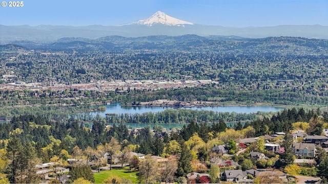 birds eye view of property featuring a forest view and a water and mountain view