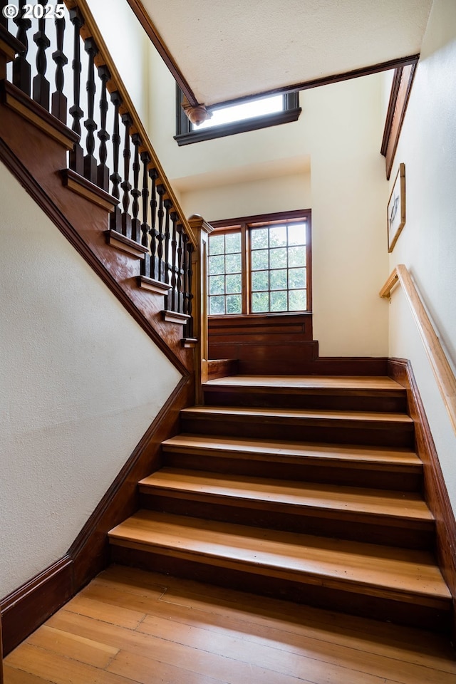 staircase with wood-type flooring