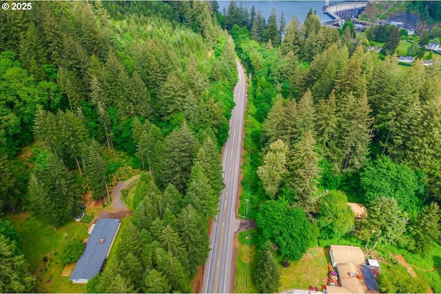 5713 Lewis River Rd, Ariel, WA 98603 - bird's eye view of a heavily wooded area